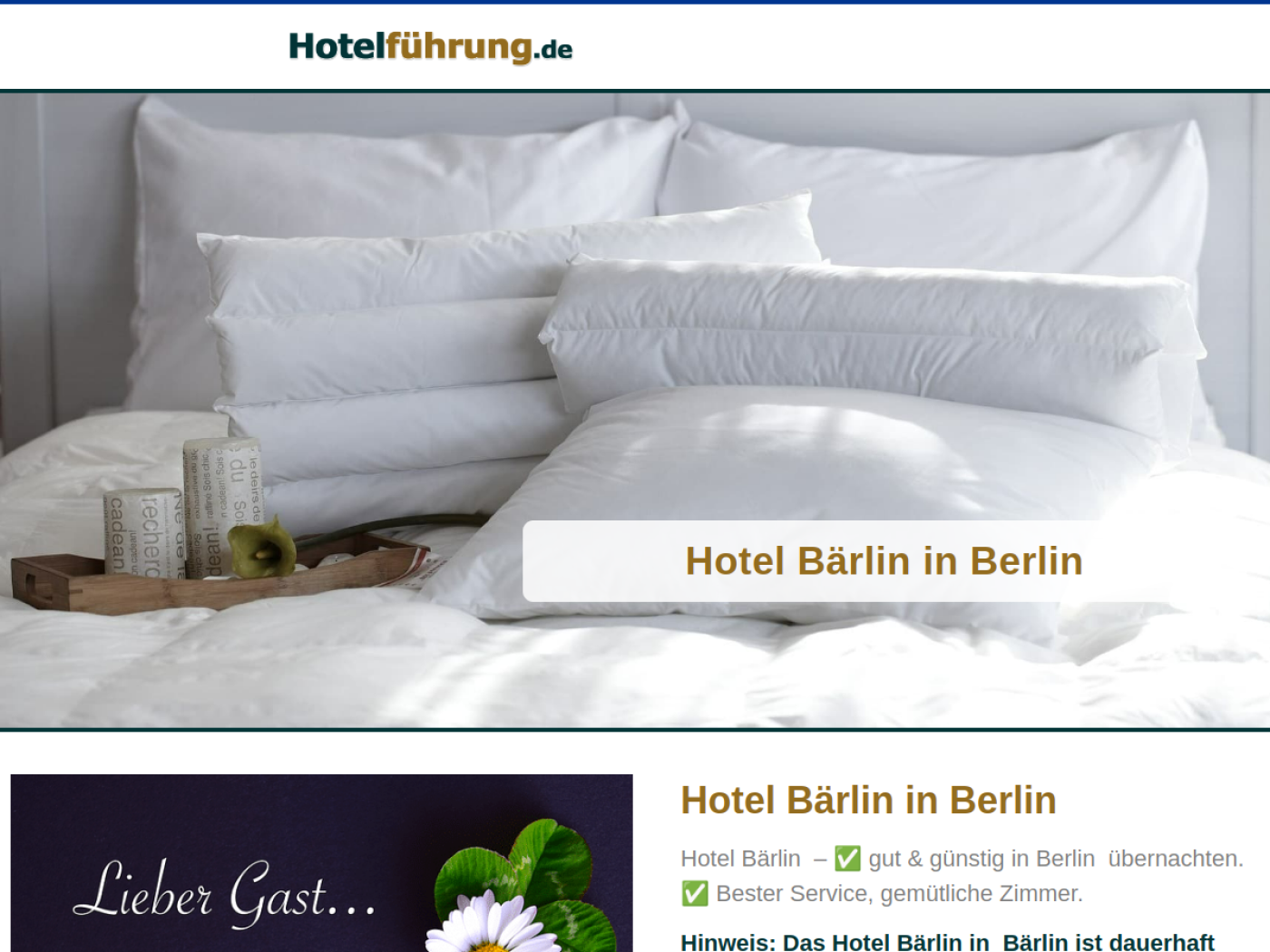 Website-Screenshot von Bärlin
