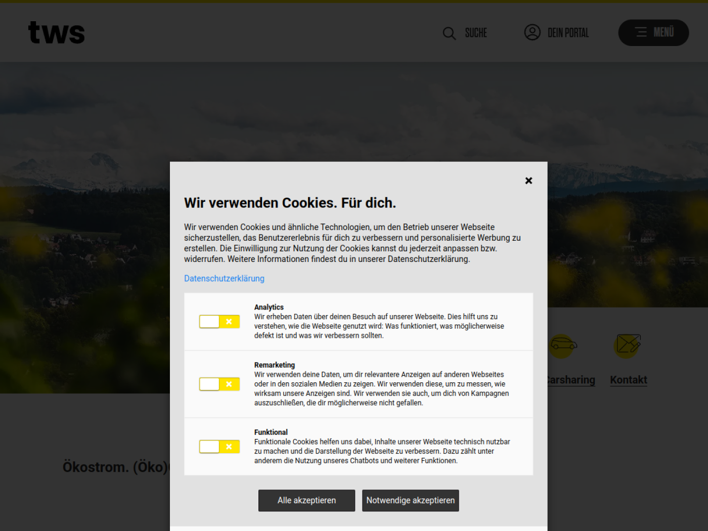 Website-Screenshot von Technische Werke Schussental